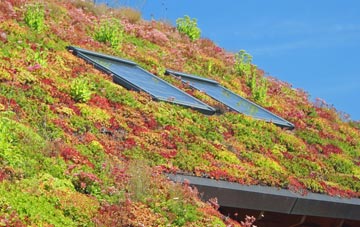 Port Ramsay living roof systems