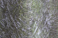 Port Ramsay fibreglass roof work